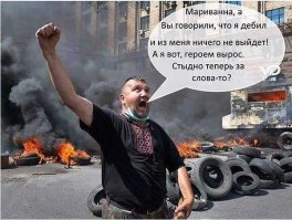 "Мыздобулы" в картинках. Смешные и не очень... Ч.41