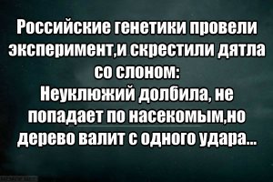 Пост юмора без политики
