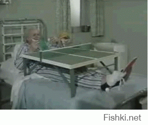 Гифки дня