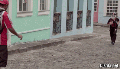 Гифки дня