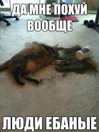 Злоумышленники
