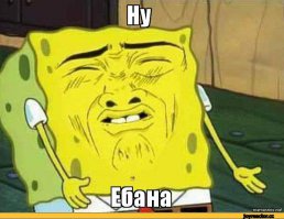 Гифки дня