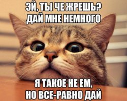 Злоумышленники