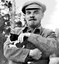 Пост любителям кошаков