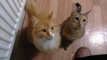Утро начинается не с кофе