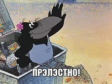 Решил поплавать на машинке