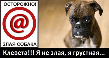 Смешные открытки про уборку