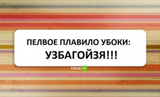 Смешные открытки про уборку