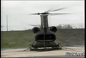 Гифки дня