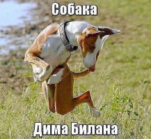 Подборка демотиваторов