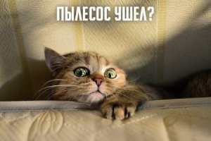 Подборка демотиваторов