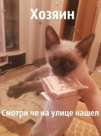 Подборка демотиваторов