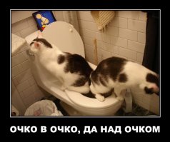 Подборка демотиваторов