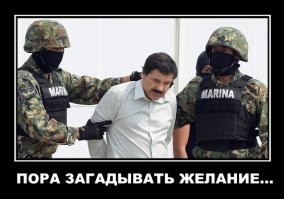 Подборка демотиваторов