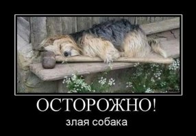Подборка демотиваторов