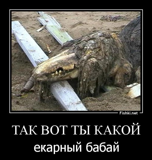 Останки неизвестного животного у берегов Сахалина