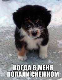То чувство