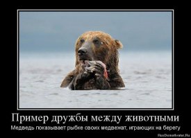 Подборка демотиваторов