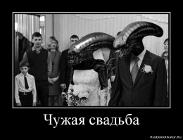 Подборка демотиваторов