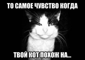 То чувство