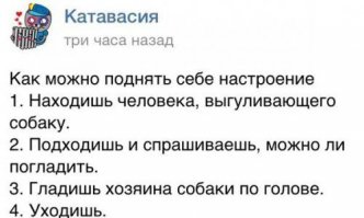 СМС о братьях наших меньших