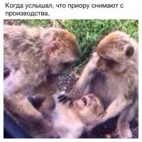 Где-то в горах...То самое чувство