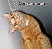 Потряси головой