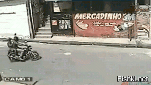 Гифки дня