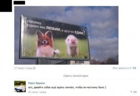 Смешные комментарии из социальных сетей