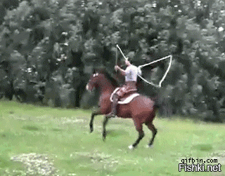 Гифки дня
