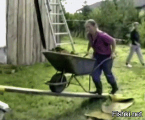 Гифки дня