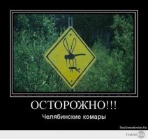 Подборка демотиваторов про Челябинск