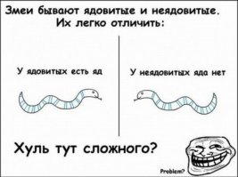 Ревнивый змей