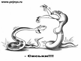 Ревнивый змей