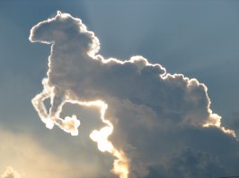 Мишка любующийся на Крым реален!!!