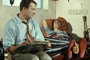 Уморительные снимки, на которые стоит посмотреть дважды