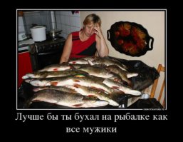 Прикольные картинки с надписями