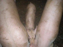 Уморительные снимки, на которые стоит посмотреть дважды