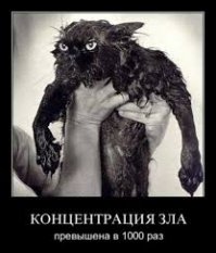 Мало для поста. Накидаем.