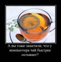 Прикольные картинки с надписями