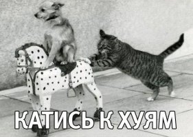 в канаду
