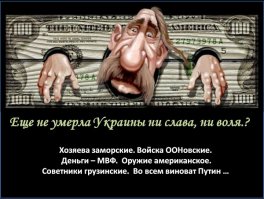 Мишка любующийся на Крым реален!!!