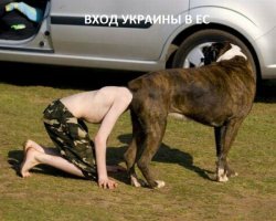 "Мыздобулы" в картинках. Смешные и не очень... Ч.49