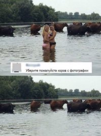 Отредактируйте мою фотку в редакторе