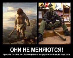 "Мыздобулы" в картинках. Смешные и не очень... Ч.49