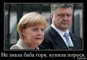 "Мыздобулы" в картинках. Смешные и не очень... Ч.49