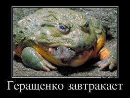 "Мыздобулы" в картинках. Смешные и не очень... Ч.50