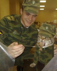 и уничтожают сух. пайки солдатов ВСУ