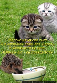 Когда ежик заблудился