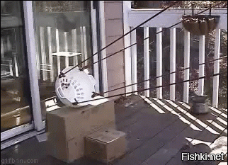Гифки дня